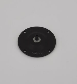 Diaphragm